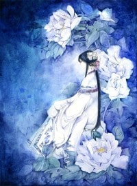 小楼一夜听春雨+当大灰兔遇上小白狼