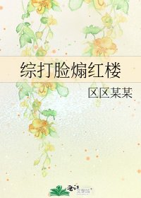 綜打臉煽紅樓