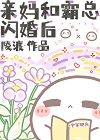 亲妈和霸总闪婚后